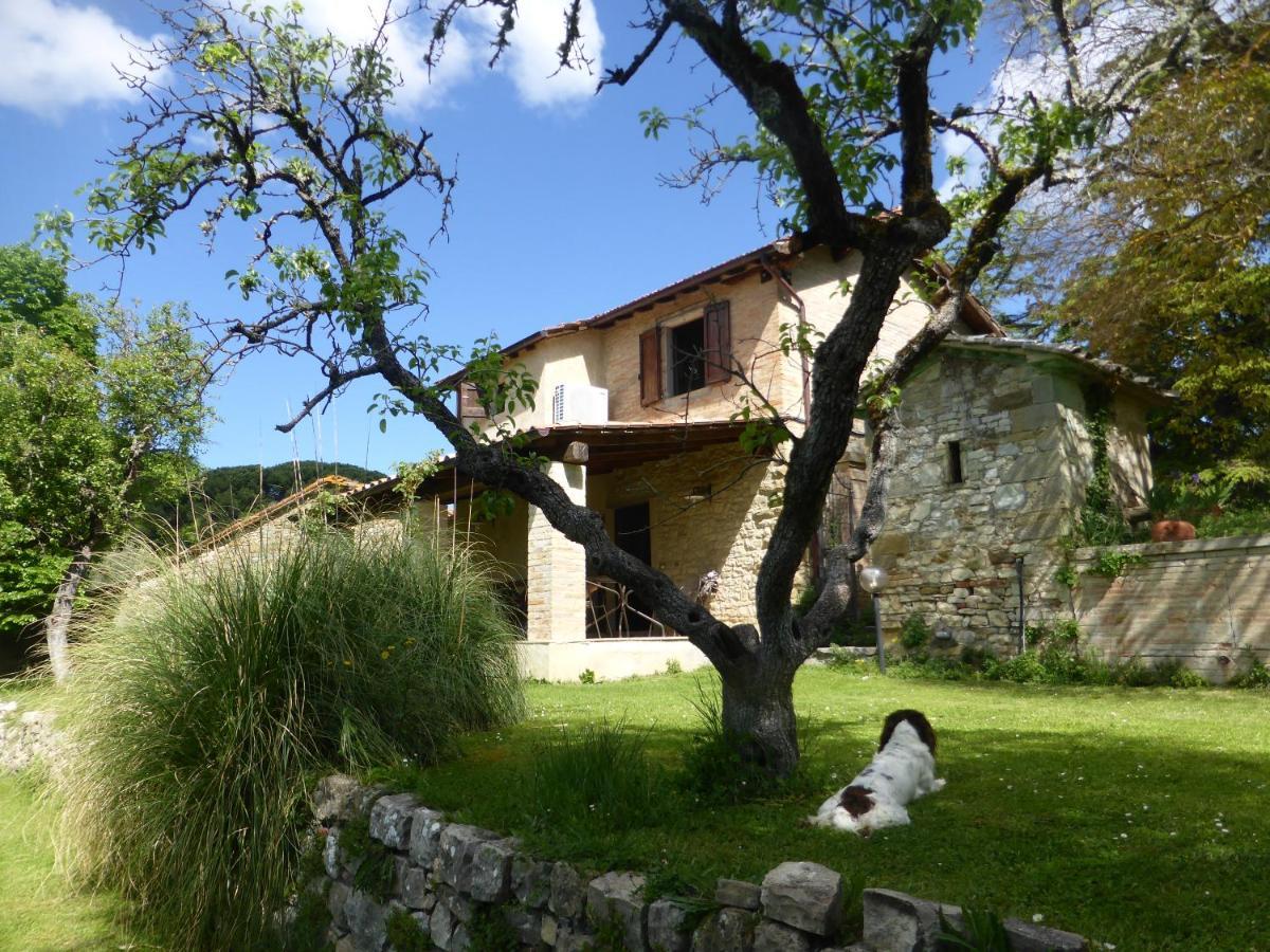 Country House La Casa Paterna Monte Santa Maria Tiberina Exterior foto